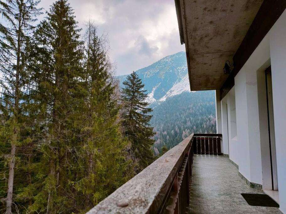 Il Terrazzo Sulle Dolomiti Apartment Cibiana Exterior photo